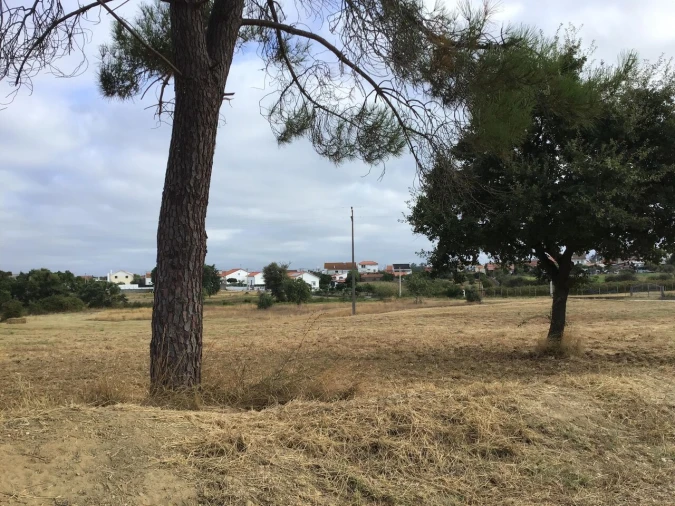 Terreno para Venda em Paialvo Foto 5