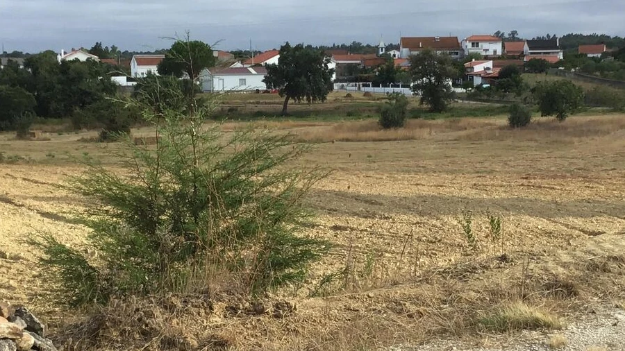 Terreno para Venda em Paialvo