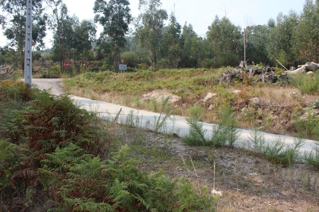 Terreno para Venda em Barbeita Foto 6