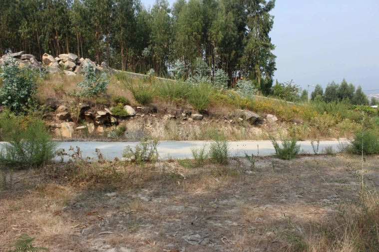 Terreno para Venda em Barbeita Foto 5