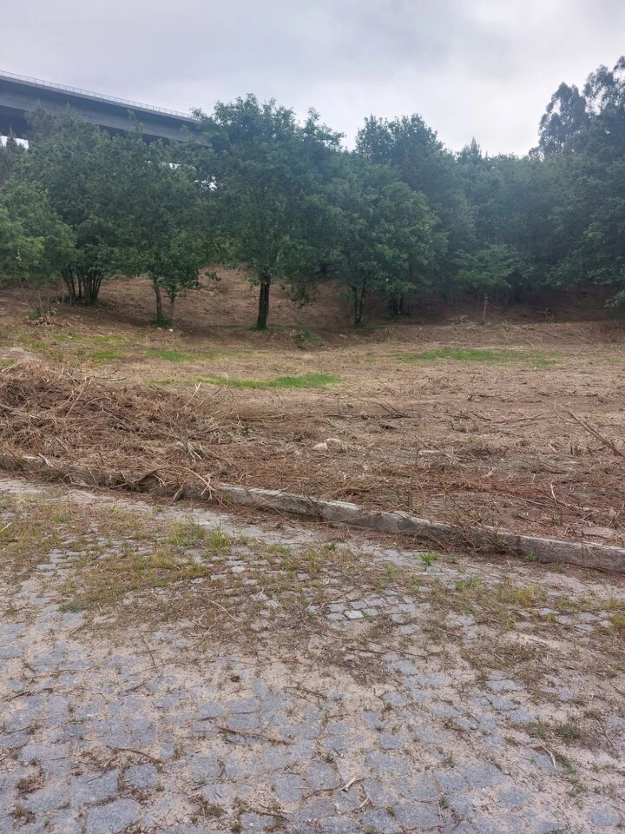 Terreno para Venda em Regilde Foto 2