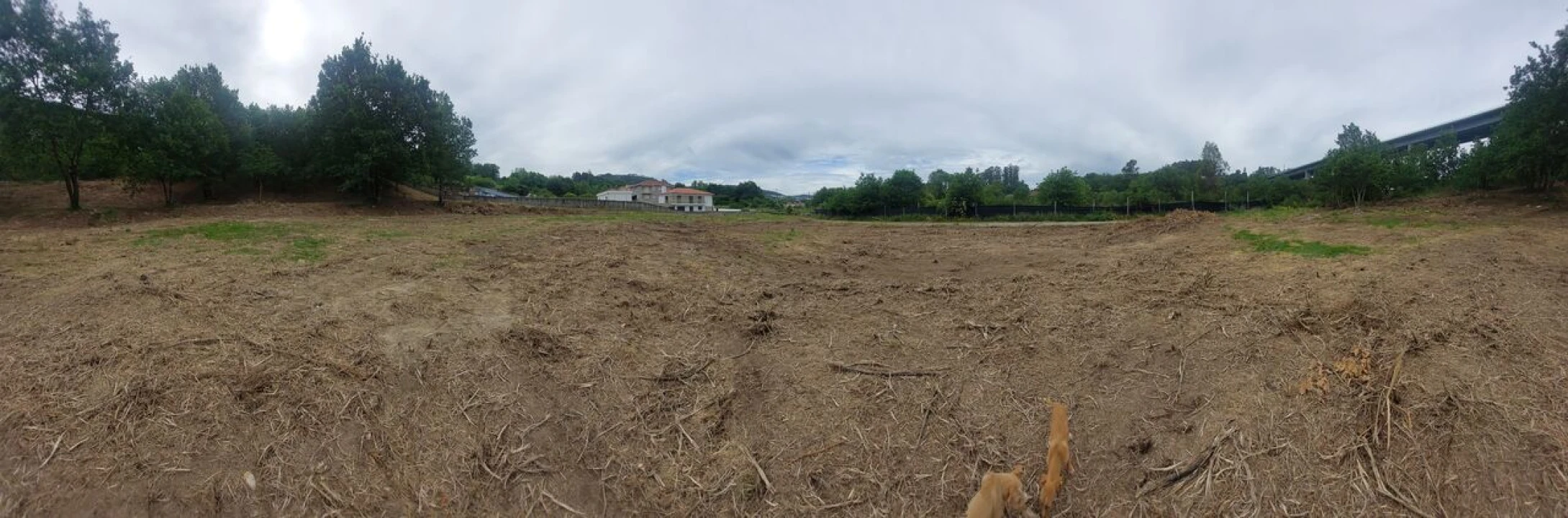 Terreno para Venda em Regilde Foto 4