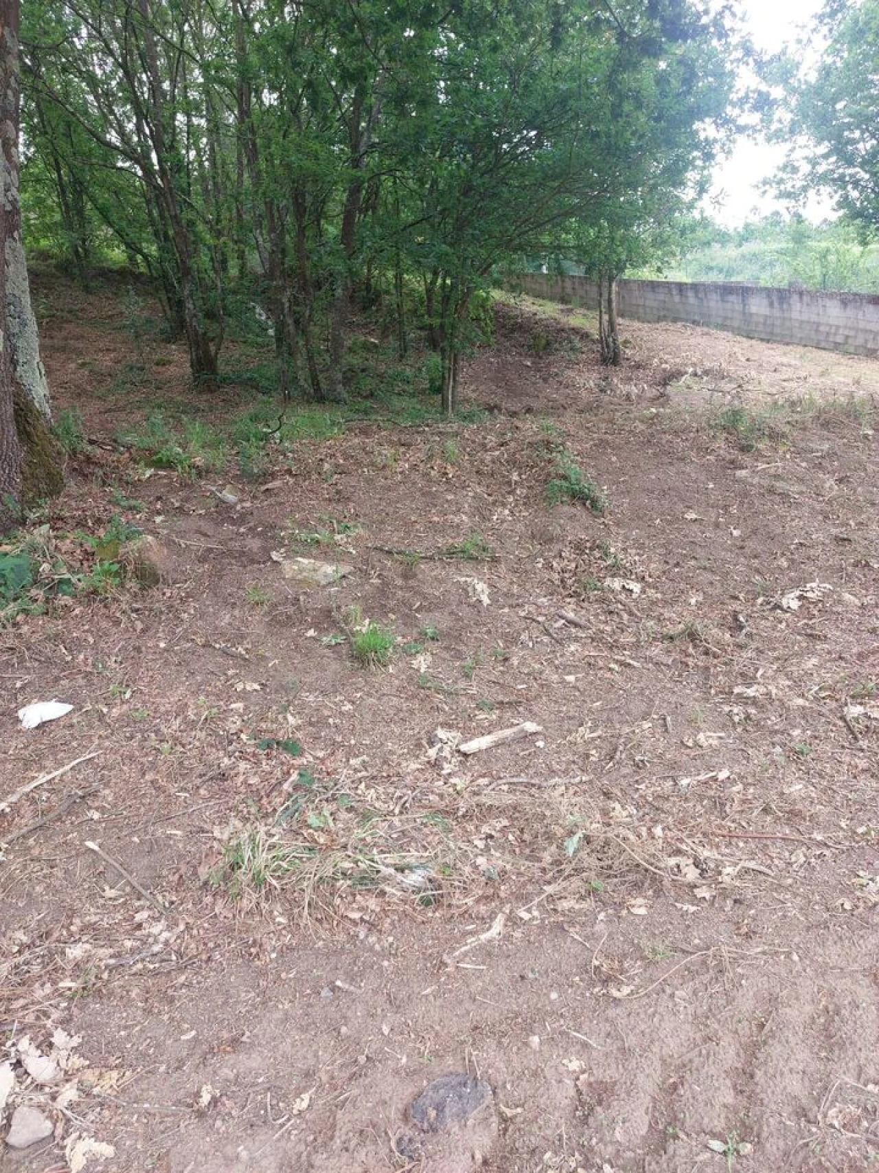 Terreno para Venda em Regilde Foto 6