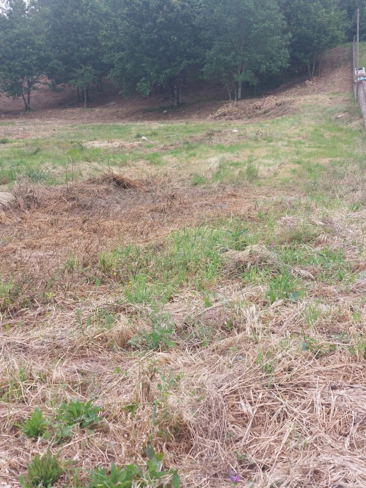 Terreno para Venda em Regilde Foto 8