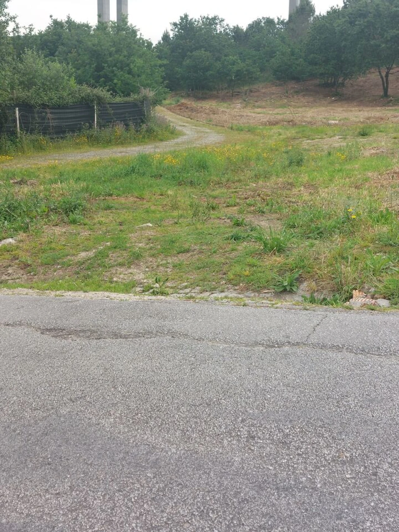 Terreno para Venda em Regilde Foto 10