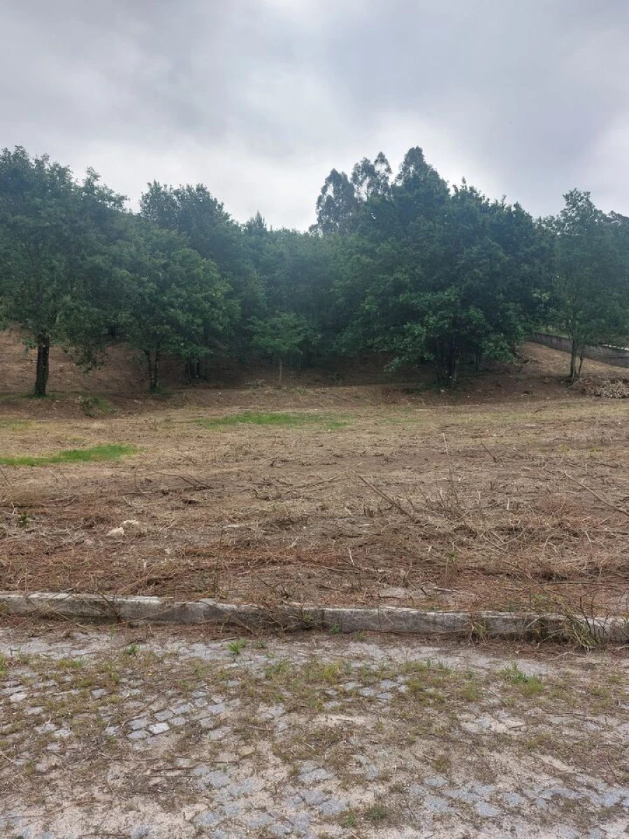 Terreno para Venda em Regilde Foto 3