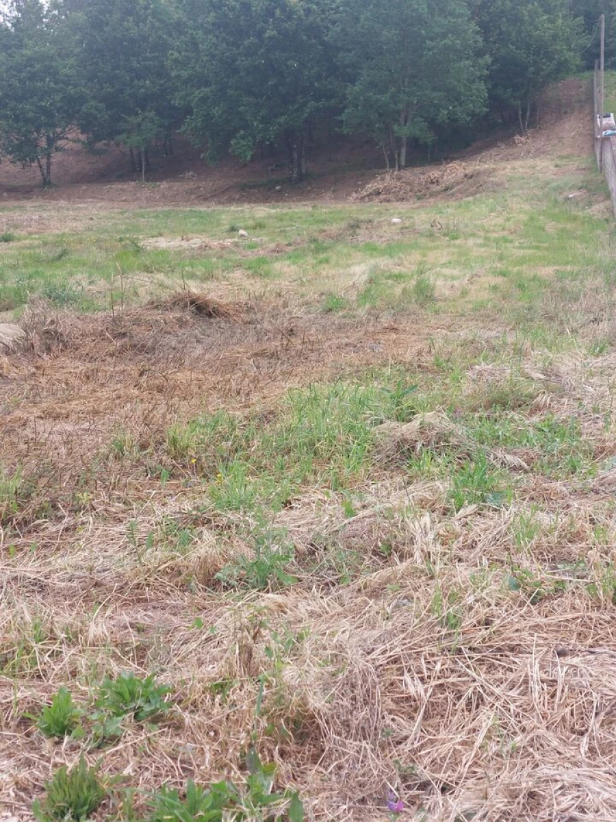 Terreno para Venda em Regilde Foto 8