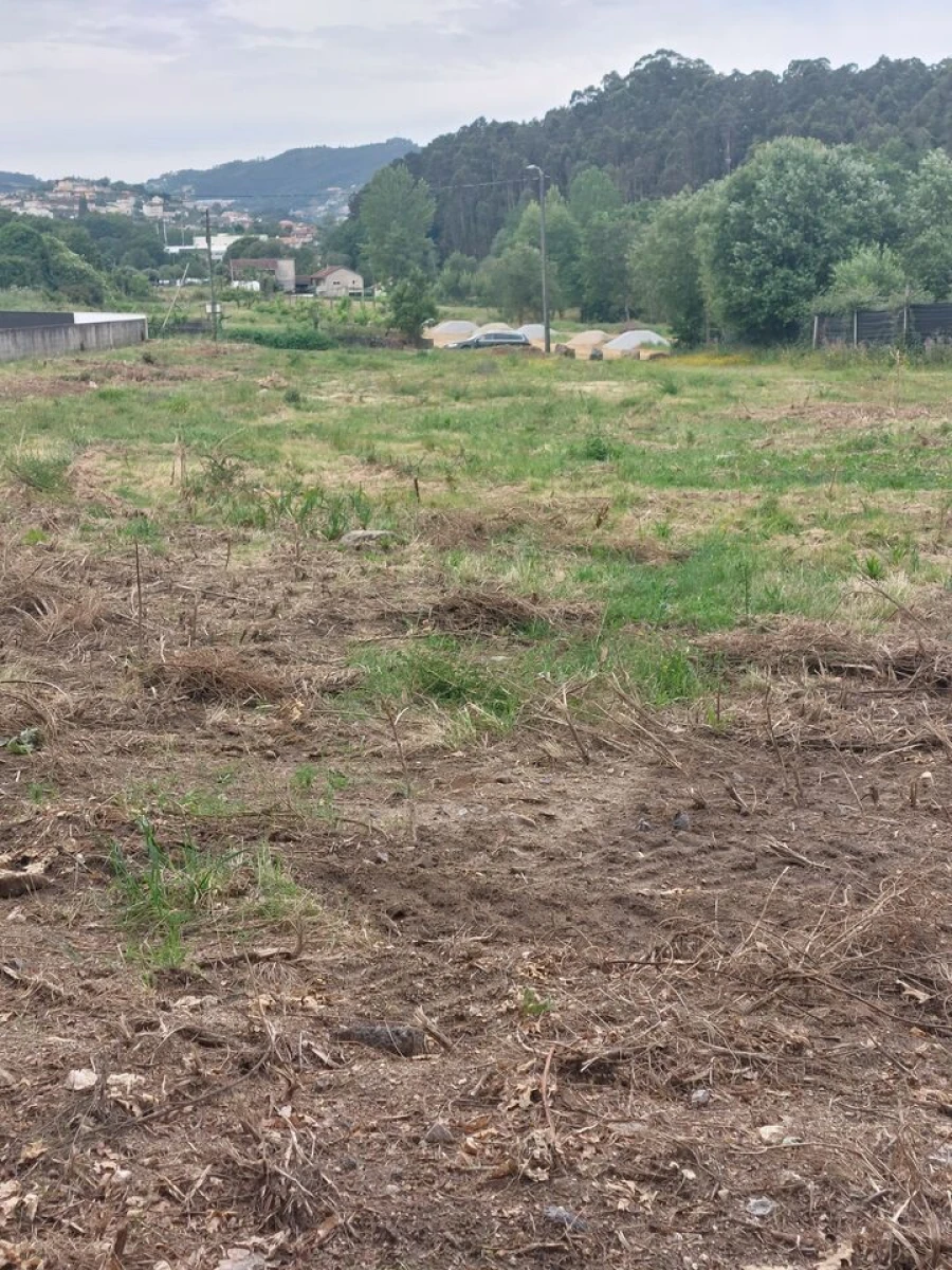 Terreno para Venda em Regilde Foto 9