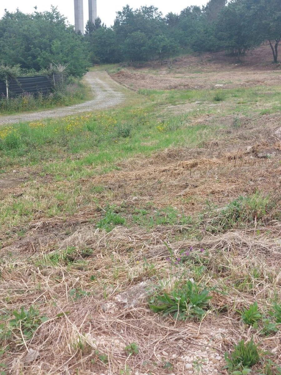 Terreno para Venda em Regilde Foto 11