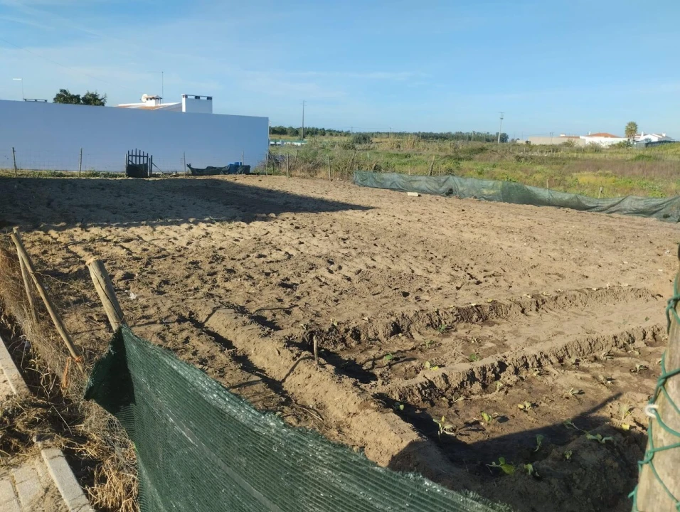 Terreno para Venda em Alpiarça Foto 4