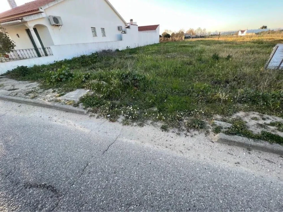 Terreno para Venda em Alpiarça Foto 3
