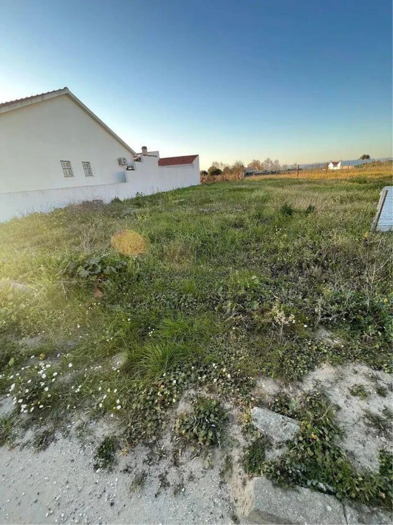 Terreno para Venda em Alpiarça Foto 4