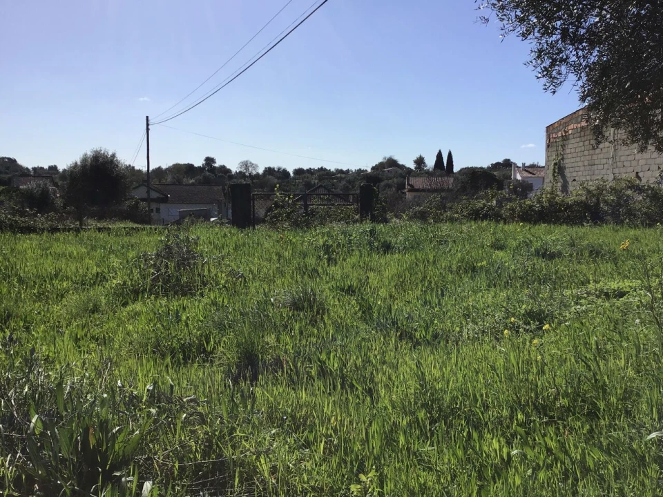 Terreno para Venda em São João Baptista e Santa Maria dos Olivais Foto 12
