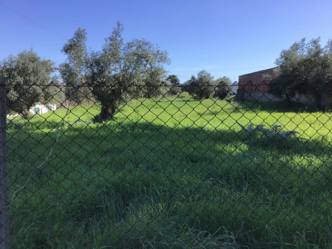 Terreno para Venda em São João Baptista e Santa Maria dos Olivais Foto 7