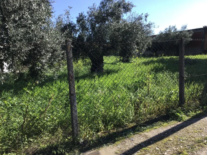Terreno para Venda em São João Baptista e Santa Maria dos Olivais Foto 8