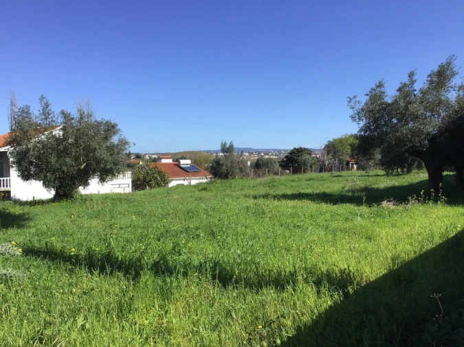 Terreno para Venda em São João Baptista e Santa Maria dos Olivais Foto 9