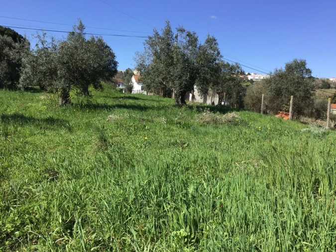 Terreno para Venda em São João Baptista e Santa Maria dos Olivais Foto 13