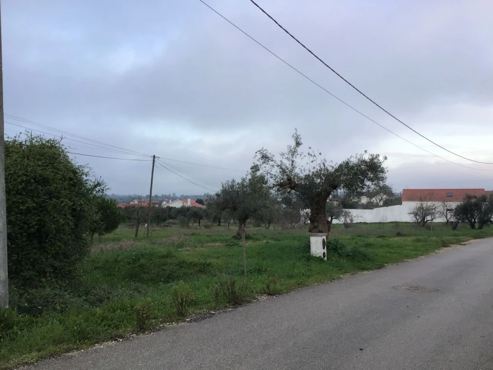Terreno para Venda em Paialvo Foto 4