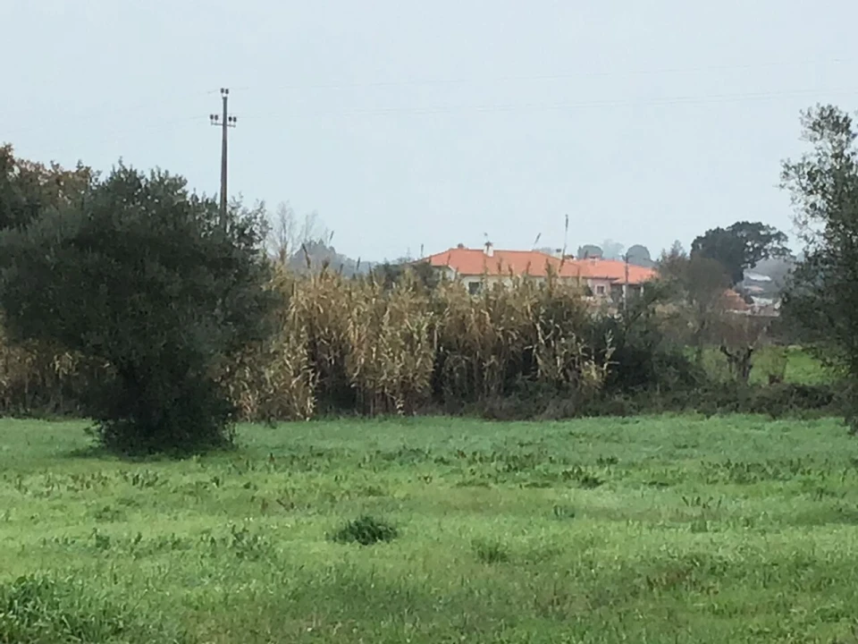 Terreno para Venda em Paialvo Foto 9