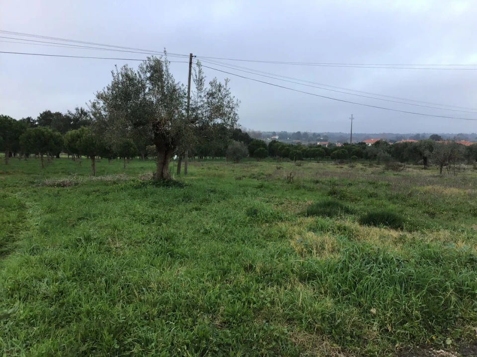 Terreno para Venda em Paialvo Foto 11