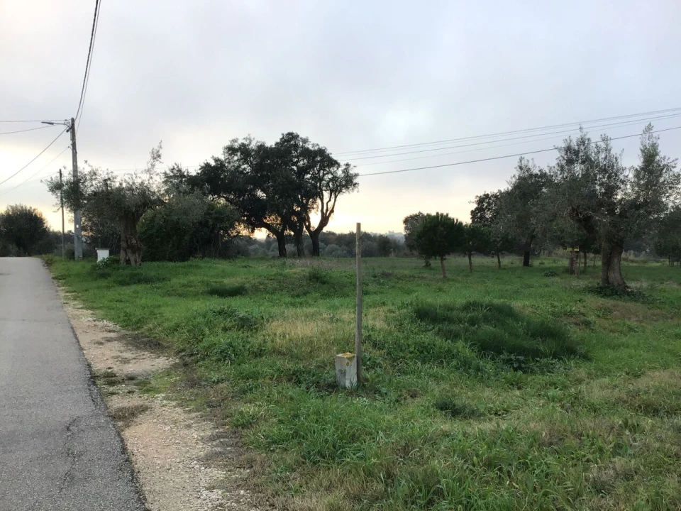 Terreno para Venda em Paialvo Foto 12