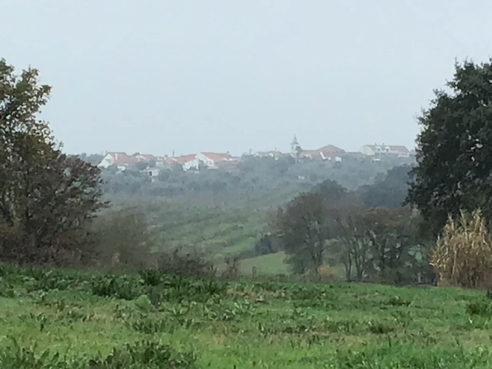 Terreno para Venda em Paialvo Foto 13