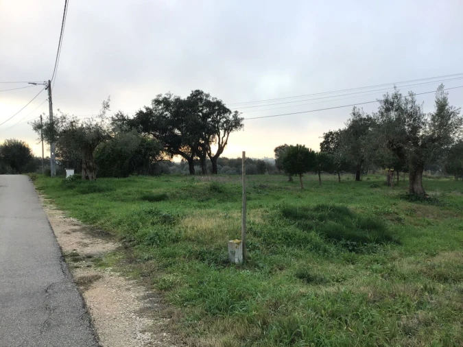 Terreno para Venda em Paialvo Foto 12