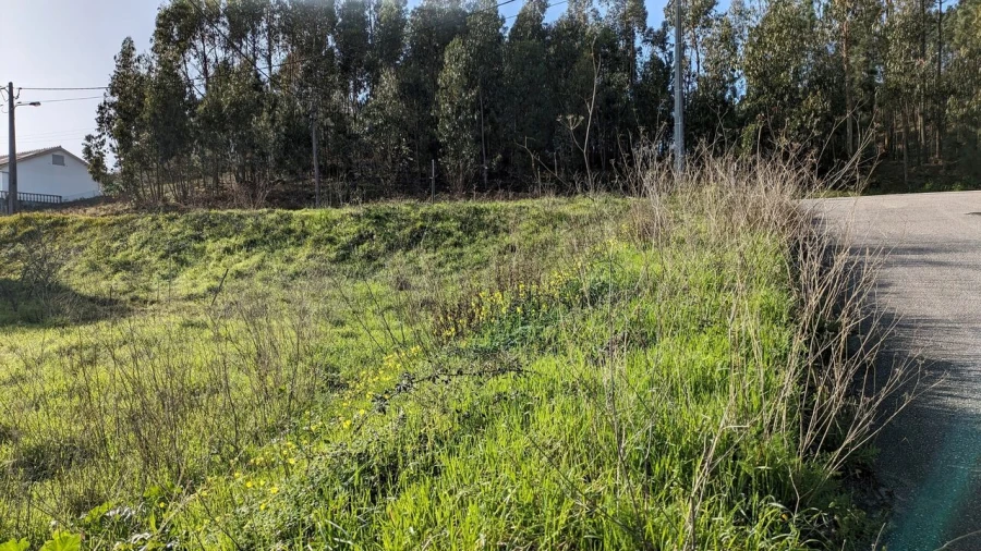 Terreno para Venda em Vermoil Foto 4