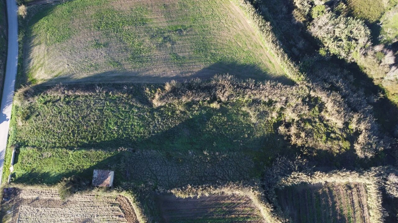 Terreno para Venda em Encarnação Foto 4
