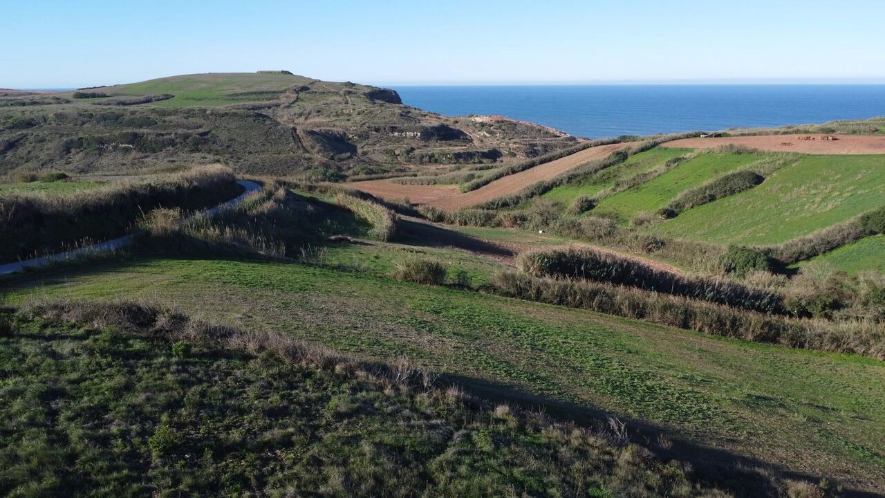 Terreno para Venda em Encarnação Foto 5