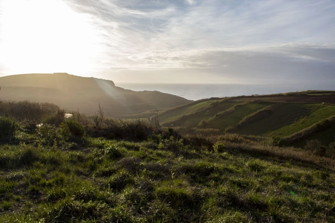 Terreno para Venda em Encarnação Foto 7