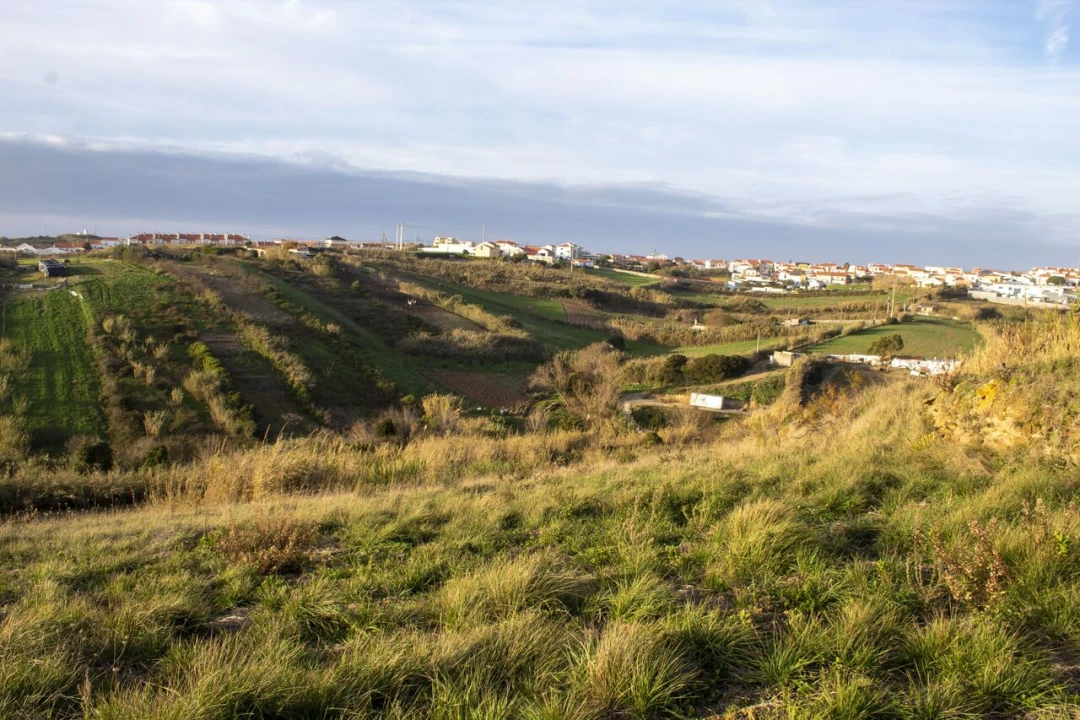 Terreno para Venda em Encarnação Foto 9