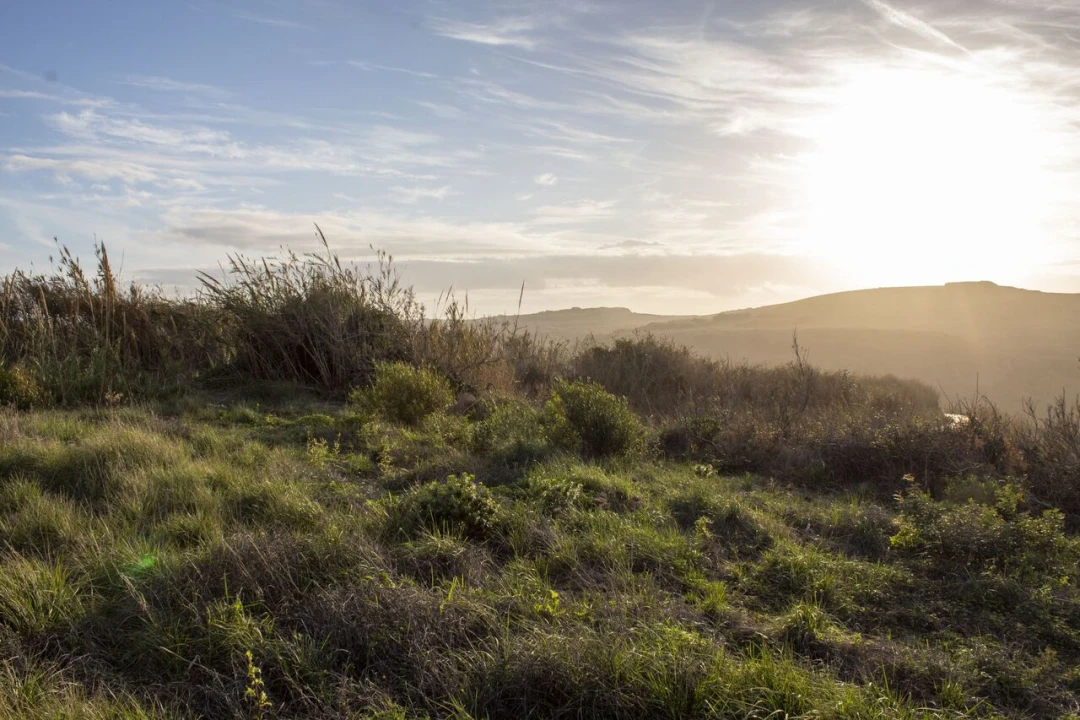 Terreno para Venda em Encarnação Foto 10