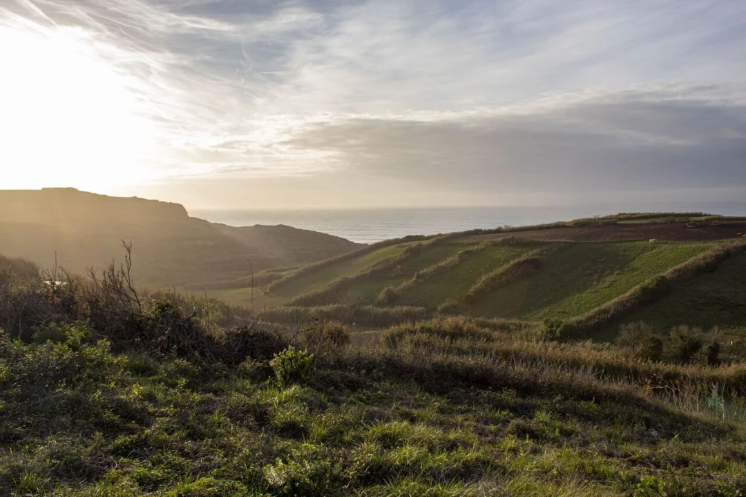 Terreno para Venda em Encarnação Foto 11