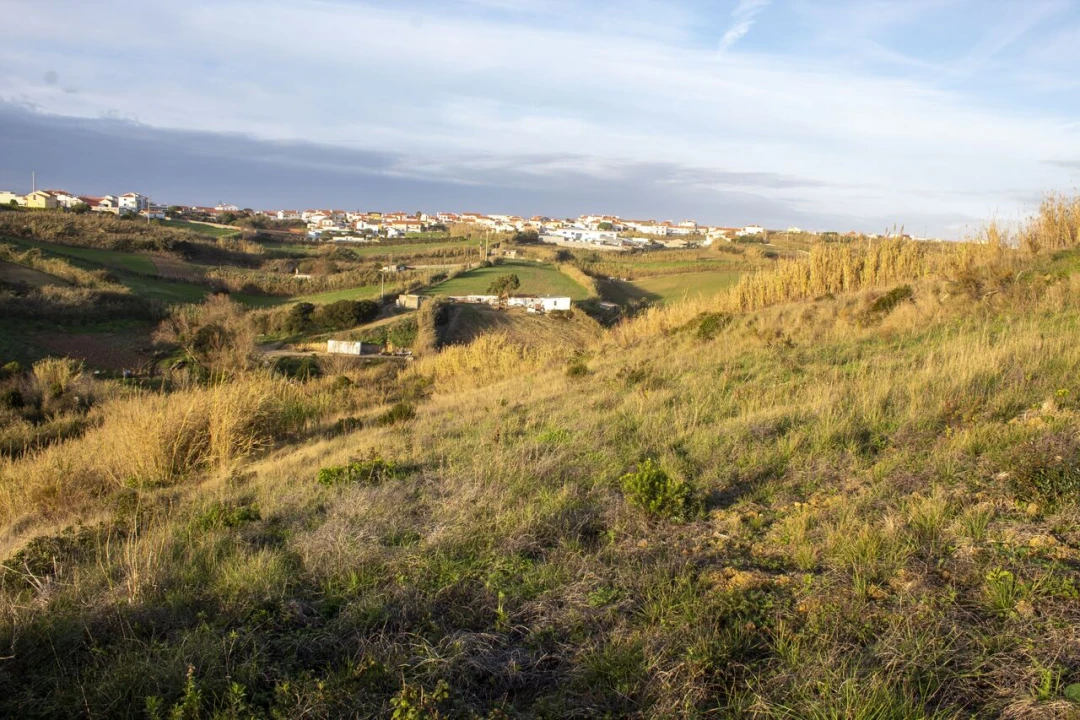 Terreno para Venda em Encarnação Foto 12