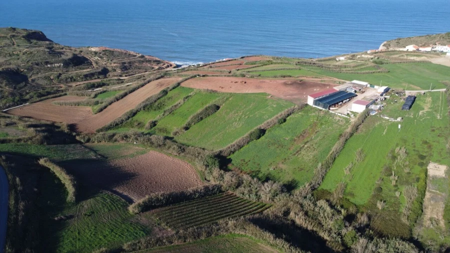 Terreno para Venda em Encarnação Foto 1