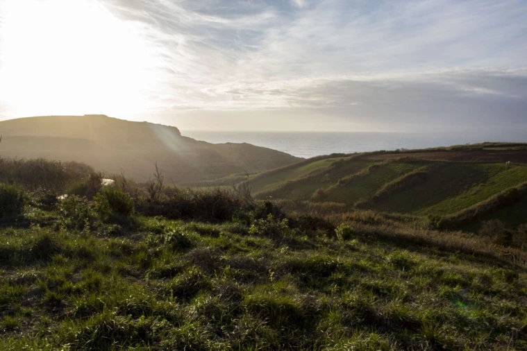 Terreno para Venda em Encarnação Foto 7