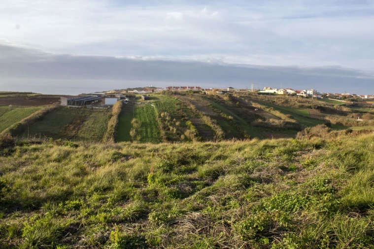 Terreno para Venda em Encarnação Foto 8