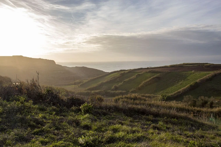 Terreno para Venda em Encarnação Foto 11