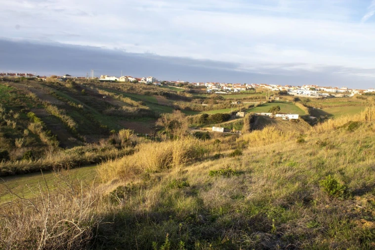 Terreno para Venda em Encarnação Foto 13