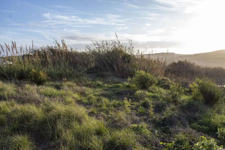 Terreno para Venda em Encarnação Foto 14