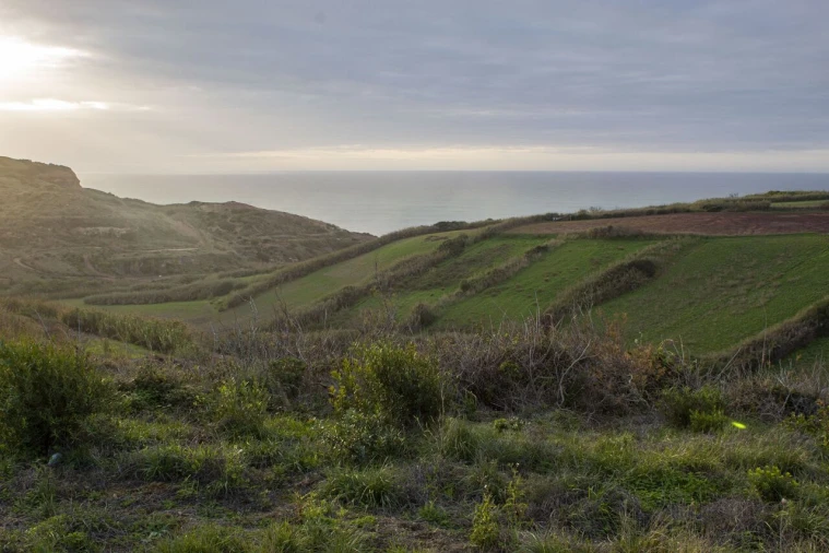 Terreno para Venda em Encarnação Foto 15