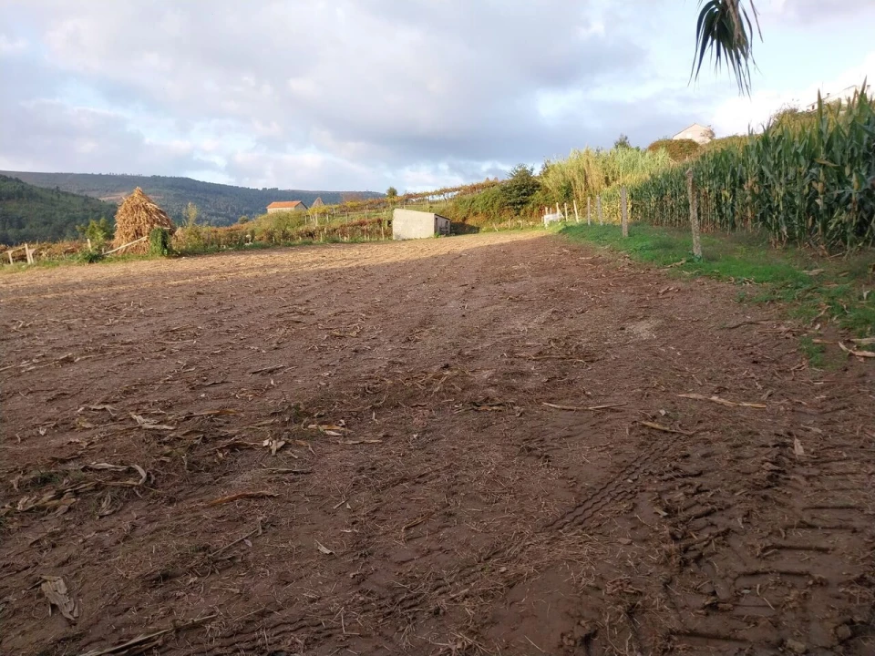 Terreno para Venda em Riba de Mouro Foto 4