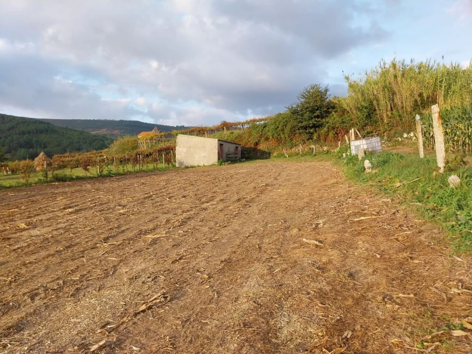 Terreno para Venda em Riba de Mouro Foto 5