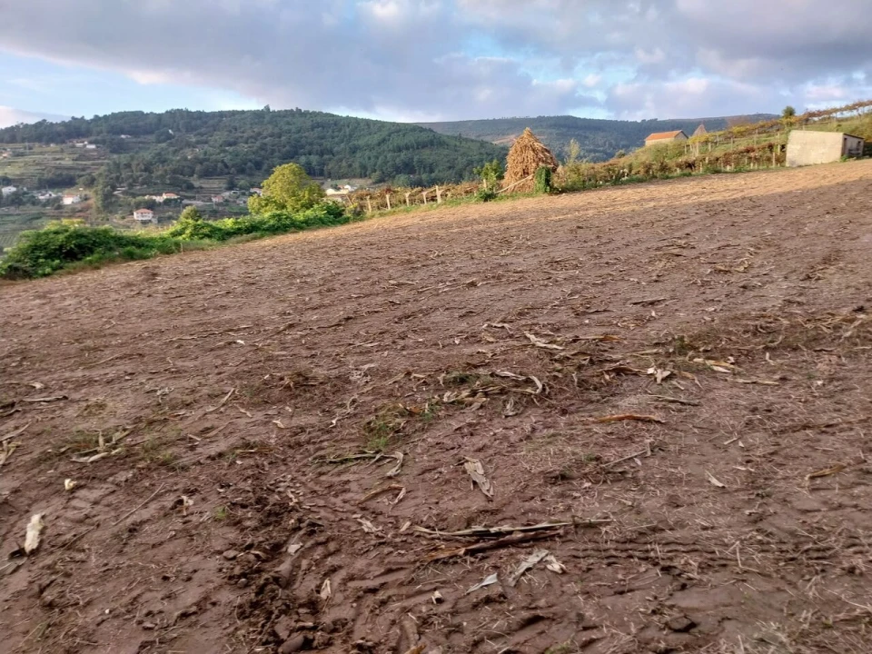 Terreno para Venda em Riba de Mouro Foto 9