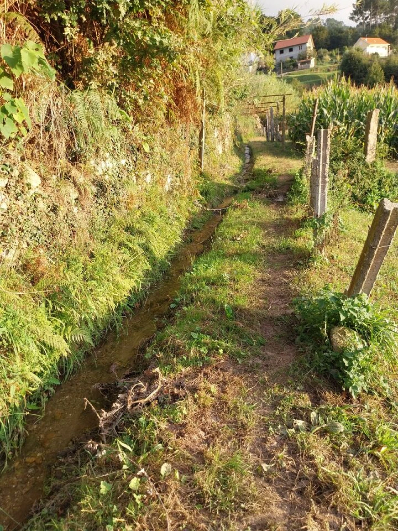 Terreno para Venda em Riba de Mouro Foto 10
