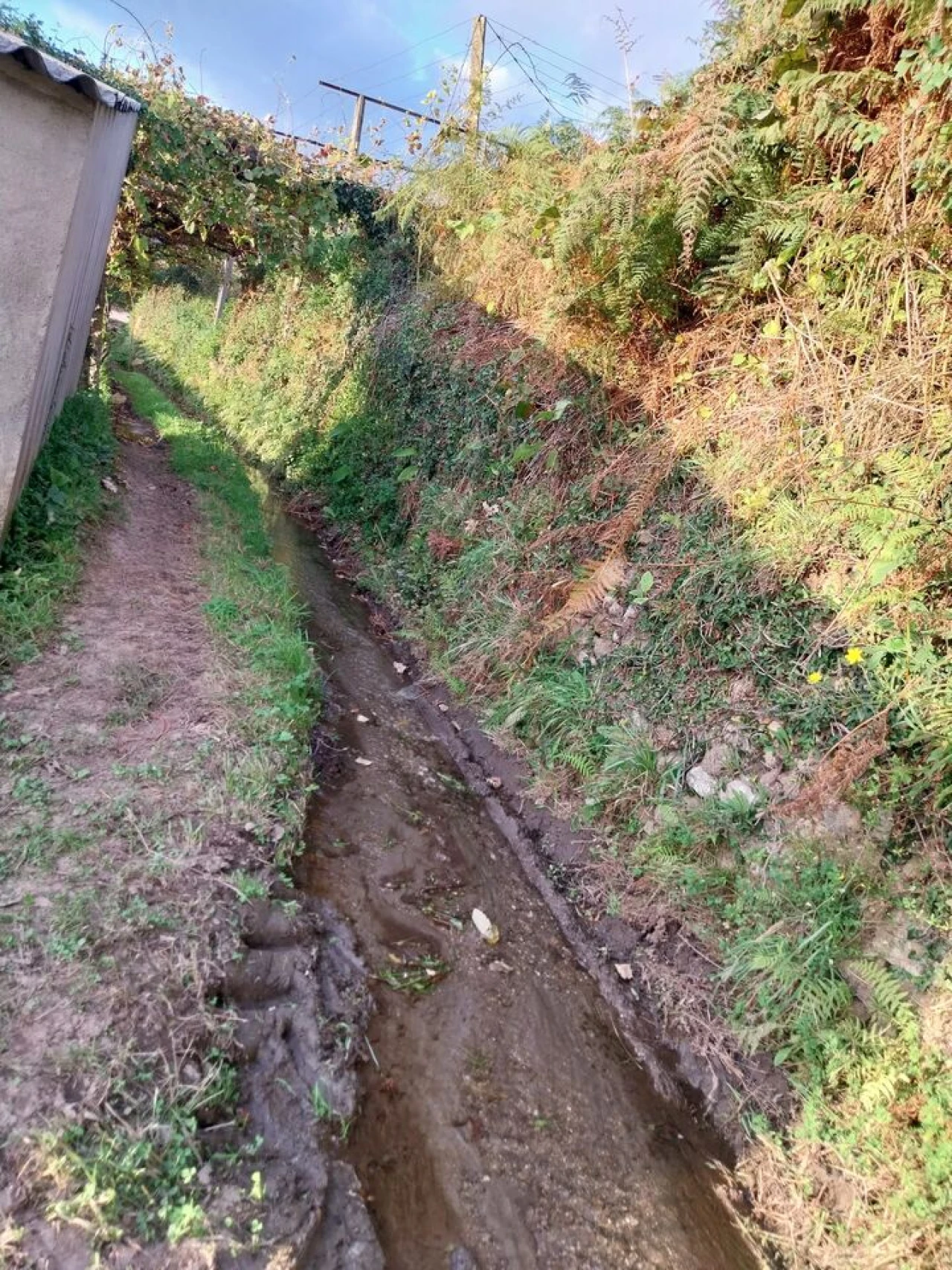 Terreno para Venda em Riba de Mouro Foto 11