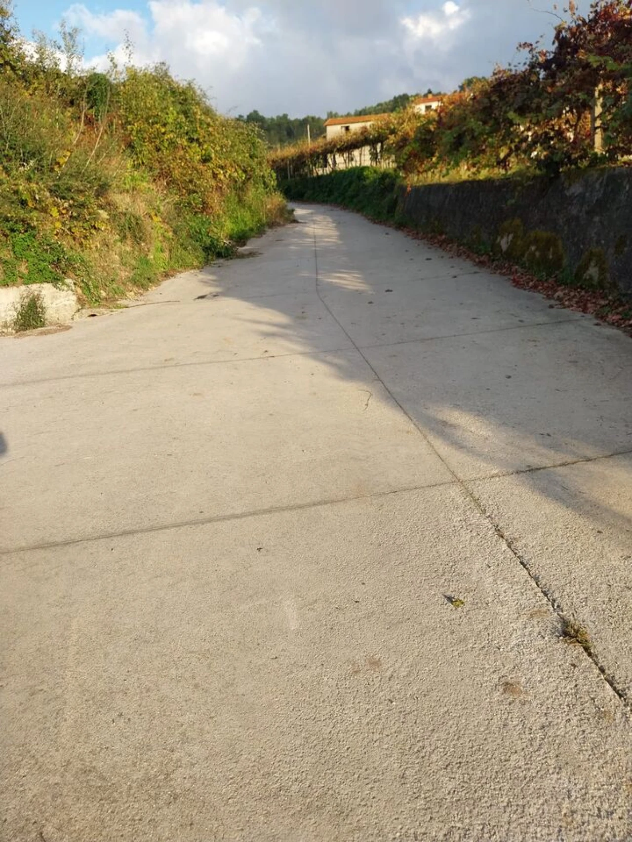 Terreno para Venda em Riba de Mouro Foto 12