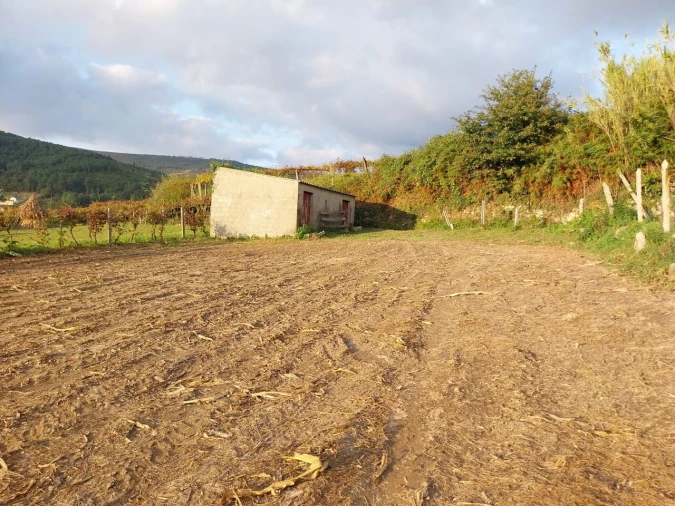 Terreno para Venda em Riba de Mouro Foto 2