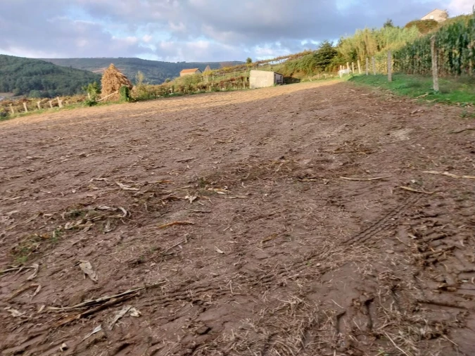 Terreno para Venda em Riba de Mouro Foto 3